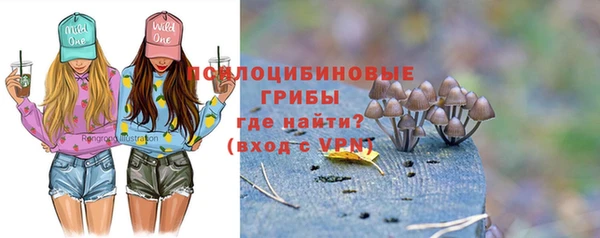крисы Наволоки