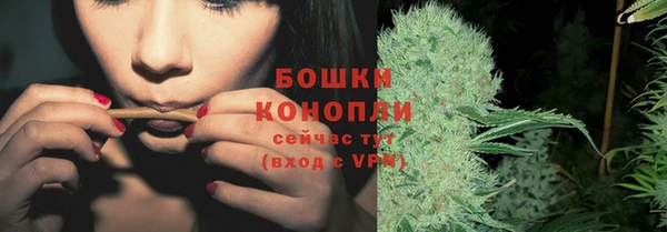 крисы Наволоки