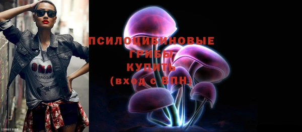 молекула духа Навашино