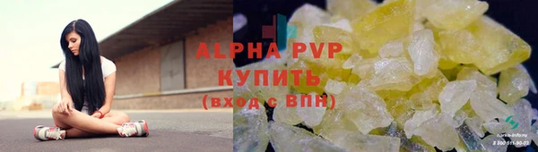 прущие грибы Горнозаводск