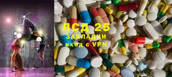 прущие грибы Горнозаводск
