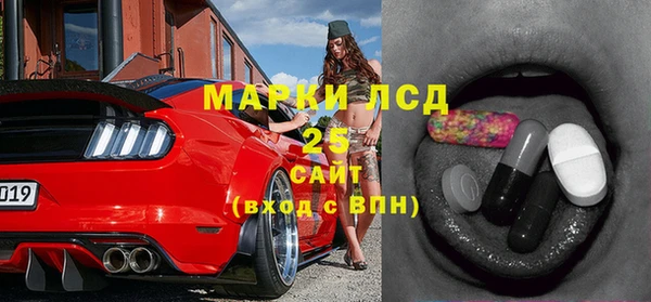 шишки Ельня