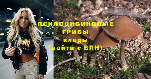 крисы Наволоки
