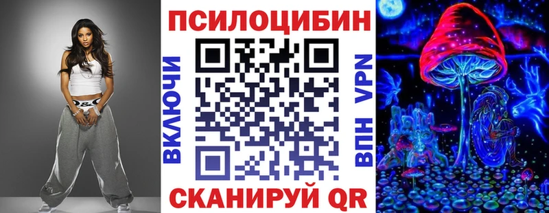 Псилоцибиновые грибы Psilocybine cubensis Ермолино