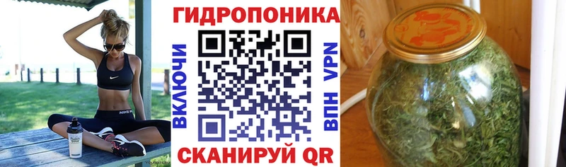 Бошки Шишки планчик Ермолино